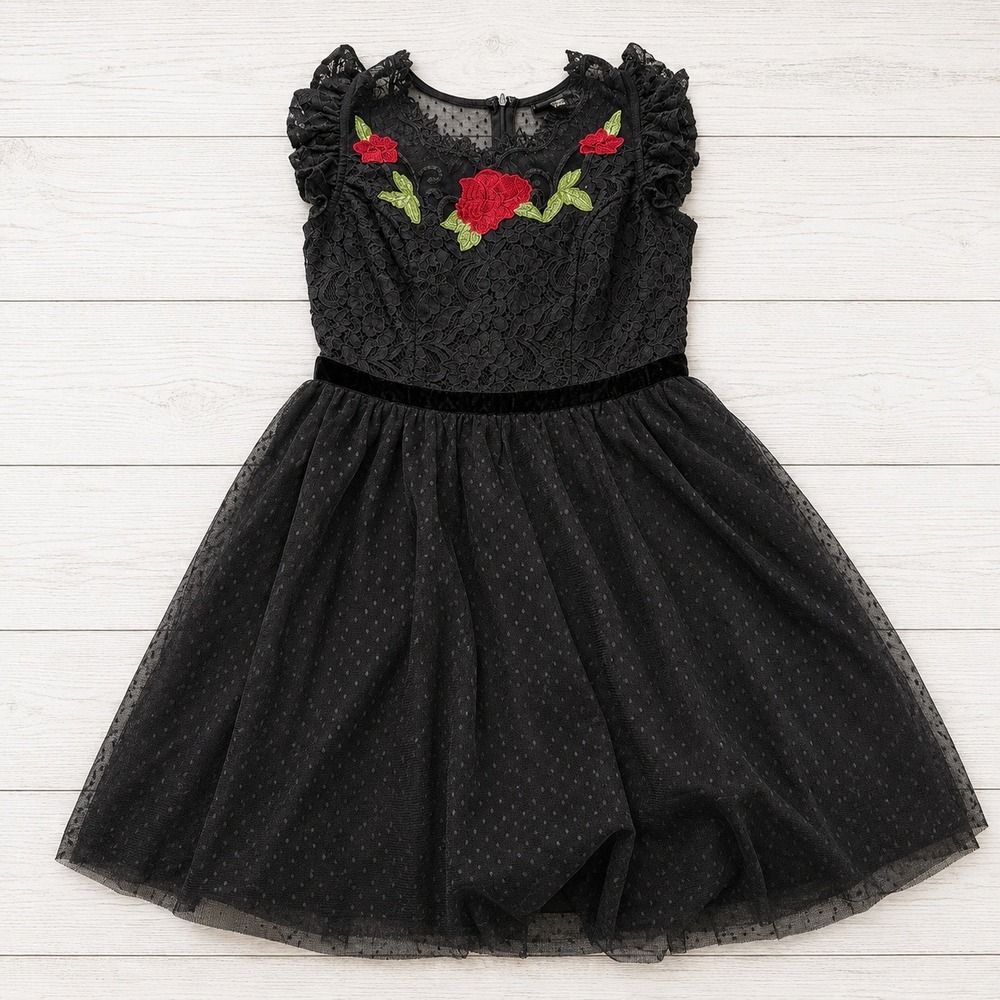 Disney Snow White Rose Embroidered Lace Tulle Dress XS Cap Sleeve Hot Topic